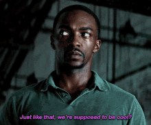 Sam Wilson Just Like That Were Supposed To Be Cool GIF - Sam Wilson Just Like That Were Supposed To Be Cool Cool GIFs