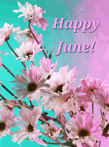 Happy June New Month GIF - Happy June New Month New Month Wishes GIFs