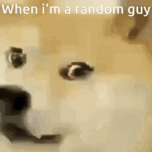 Random Guy Doge Grin GIF - Random Guy Doge Grin GIFs