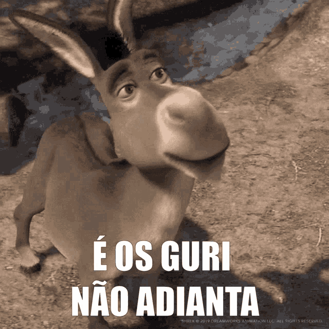 Visit Homem que usava 'burro do Shrek' para traficar é preso no DF  eimanonsaadar tor cliraiios auia BSaiba mais - iFunny Brazil