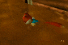 a cartoon squirrel with a blue scarf around his neck is standing in a dark room .