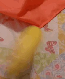 a blanket with butterflies on it and a yellow blanket
