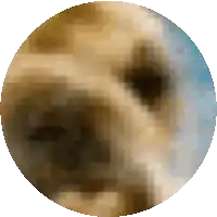 a blurred image of a person 's face in a circle on a white background