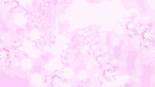 a pink background with white flowers and butterflies