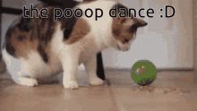 Pooop Lets Suck That Pooop GIF - Pooop Lets Suck That Pooop The Pooop Dance GIFs