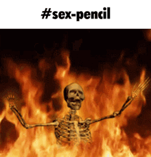 Sex Sex Pencil GIF - Sex Sex Pencil Pencil GIFs