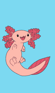 axolo axolotl