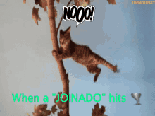 Tornado GIF