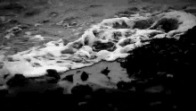 Waves Afeitrun GIF