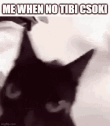 Tibicsoki Angry GIF - Tibicsoki Angry Cat GIFs