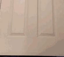 a bag of chips is sitting in a fridge door