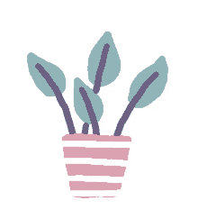 cute plant