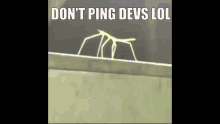 Dont Ping Devs Lol Dontpingdevs GIF - Dont Ping Devs Lol Dontpingdevs Tww GIFs