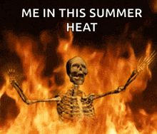 a skeleton is standing in front of a fire with the words me in this summer heat