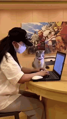 Confused Cat Cat Confused GIF - Confused Cat Cat Confused Distracted Cat GIFs