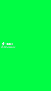 a loading bar on a tiktok app that says discover more creators on tiktok