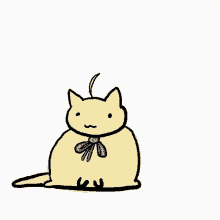 Cat First GIF
