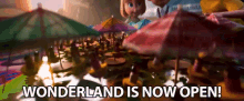 Wonderland Is Now Open Open GIF - Wonderland Is Now Open Open Opening GIFs
