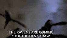 a poster that says the ravens are coming stop the dev $ kraw