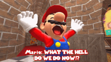 Smg4 What The Hell Do We Do Now GIF - Smg4 What The Hell Do We Do Now What Do We Do Now GIFs