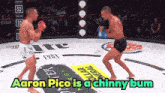 aaron pico is a chinnny bum that is on a boxing match