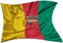 logo banderas