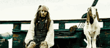 Awkward Jack Sparrow GIF - Awkward Jack Sparrow Goat GIFs