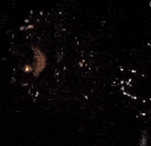 a close up of a black surface with a lot of tiny objects on it .