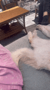 Punky Cat Tail GIF - Punky Cat Tail Whip GIFs
