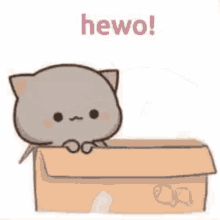 Mochi Mochi Peach Cat Box GIF - Mochi Mochi Peach Cat Box Cute GIFs