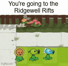a cartoon of a sunflower and two peashooters says you 're going to the ridgewell rifts