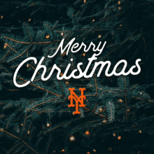 Merry Christmas GIF - Merry Christmas Mets GIFs