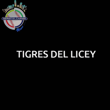 Tigres Del Licey Serie Del Caribe Miami 2024 GIF - Tigres Del Licey Serie Del Caribe Miami 2024 Laga Dominicana De Beisbo GIFs