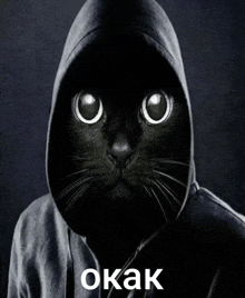 a black cat wearing a hoodie with the word okak on the bottom right