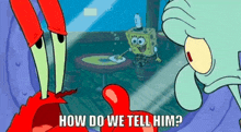 spongebob and squidward from spongebob squarepants are talking about how do we tell him