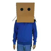a person wearing a cardboard box over their head