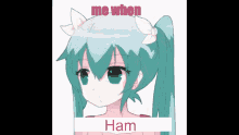 Ham GIF - Ham GIFs