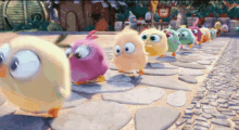 アングリーバード 映画　可愛い GIF - Angry Bird March GIFs