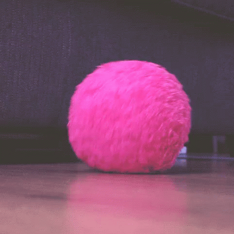 Randomness Pink GIF - Randomness Pink Fuzzball GIFs