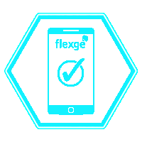 App Flex Neon Sticker - App Flex Neon Stickers
