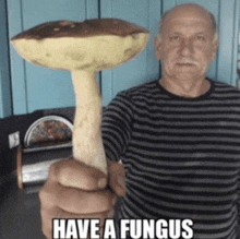 Have A Fungus GIF - Have A Fungus Fungus GIFs