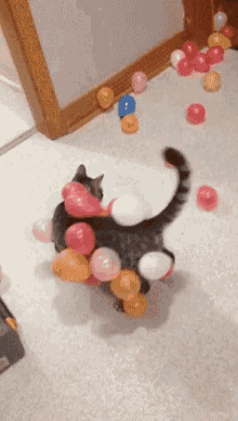 cats static balloonsstick play