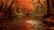 Nature Clean GIF - Nature Clean GIFs