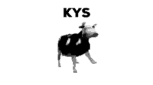 Kys Cow GIF - Kys Cow Polishcow GIFs