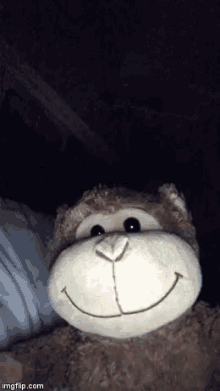 Milo Monkey GIF - Milo Monkey Boo GIFs
