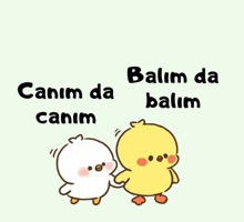 a cartoon of two chickens holding hands with the words " canim da canim " above them
