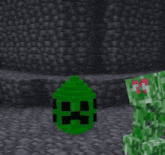 a creeper in a minecraft video game is standing in the grass
