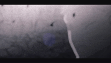 a blurred image of a person 's face with a few birds flying in the background
