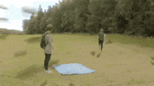 Bees Swarm GIF - Bees Swarm Chased GIFs