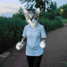 a pixel art of a person with a cat 's head and arms